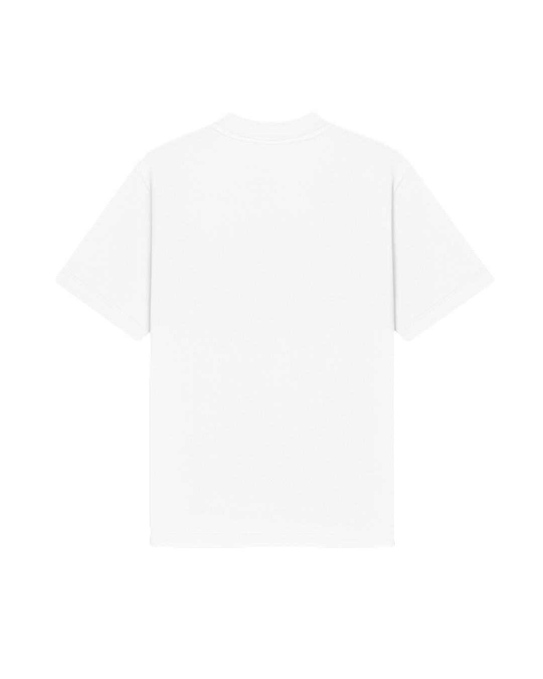 PLAIN WHITE T - SHIRT